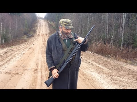 Видео: На сопках Вепсарии. Или с "Зубром" на зайца ...