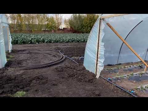 Видео: Теплиці з полуницею осінь,ранні сорти