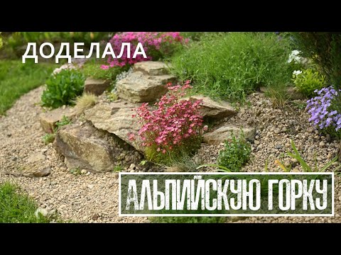 Видео: Я доделала альпийскую горку!/ Яблоня зацвела впервые за 20 лет/ Мой любимый вяз Wredei