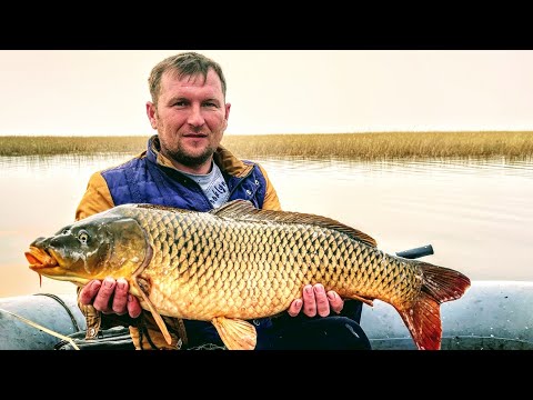 Видео: Рыбалка 2022 Рыбалка на хапугу или на паук - что круче??? Да сколько же их там? Рыбалка