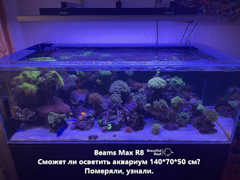 Видео: Морской аквариум 500 литров. Сможет ли один Beams Max R8 его осветить?