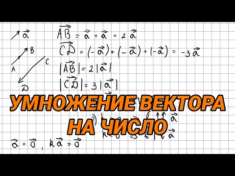 Видео: Умножение вектора на число - 9 класс геометрия