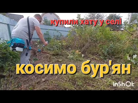 Видео: Купили хату у селі/косимо бур'ян/знайшли скарби