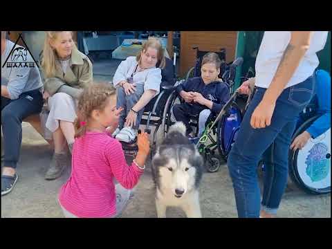 Видео: ШалашБФ у ПАРА КАЮРОВ из Спина Бифида 13 08 25г
