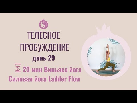 Видео: 30 дней йоги. День 29 - Силовая йога. Ladder Flow.