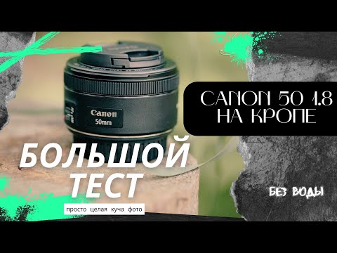 Видео: Сanon 50 1.8 stm на кропе, большой фото тест.