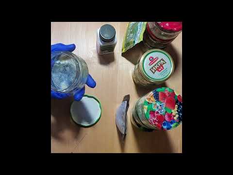 Видео: Получение изолята чистой культуры из магазинного препарата. Часть2. Результаты эксперимента.