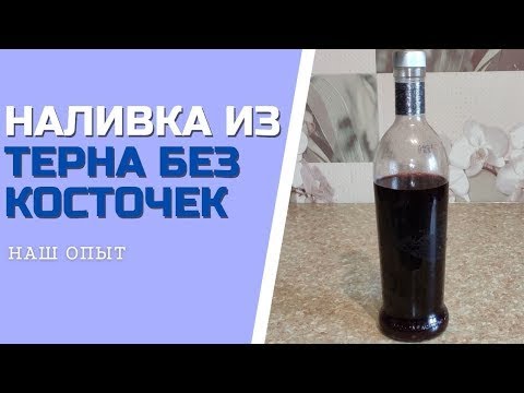 Видео: Рецепт НАЛИВКИ ИЗ ТЕРНА БЕЗ КОСТОЧЕК в домашних условиях
