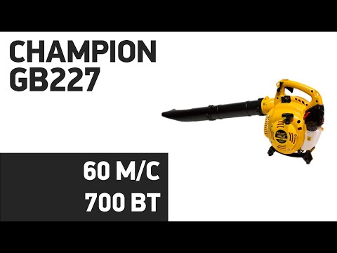 Видео: Воздуходувка CHAMPION GB227