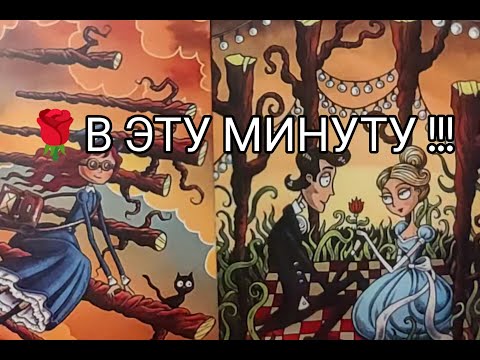 Видео: ❤️‍🔥 Его МЫСЛИ о Тебе 🌹 в ЭТУ МИНУТУ ‼️ Гадание онлайн, таро, tarot 