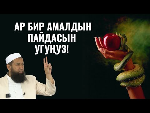 Видео: АР БИР АМАЛДЫН ПАЙДАСЫН УГУҢУЗ!