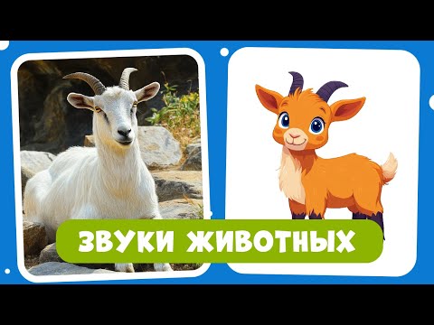 Видео: Запускаем речь через звуки! | Повтори за мной: ме-ме, ту-ту! Учимся говорить. Звукоподражание.