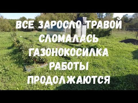 Видео: #141 Все заросло травой, сломалась газонокосилка, работы продолжаются...