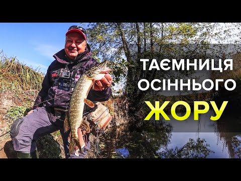 Видео: Осінній жор щуки - мрія спінінгіста. Який потрібен спінінг, які приманки, як спланувати риболовлю?