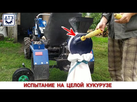 Видео: ТЕСТИРУЕМ ПО ПОЛНОЙ, КОРМОИЗМЕЛЬЧИТЕЛЬ ЗЕРНА ДТЗ/МОЛОТИМО ЦІЛІ КАЧАНИ КУКУРУДЗИ  КОРМОПОДРІБНЮВАЧЕМ