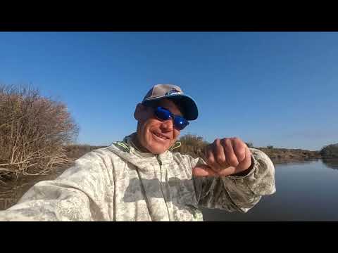 Видео: Такой крокодил запросто утащит в воду!!!