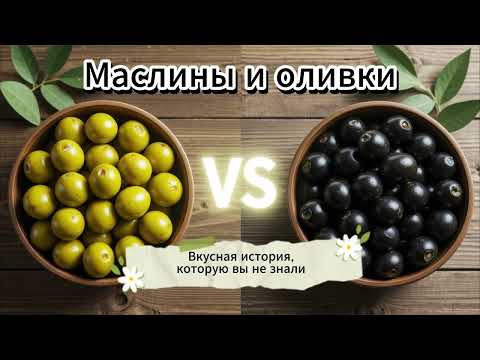Видео: Маслины и оливки: в чём разница? 🫒🌿🧴🍈Вкусная история, которую вы не знали 🥗🌞🌳🏺
