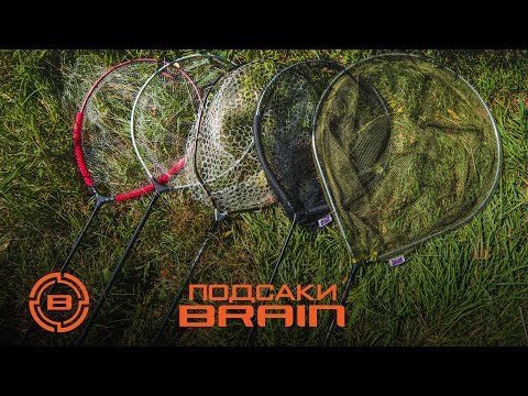 Видео: Обзор подсак Brain для фидерной и карповой рыбалки. Кирпичный краш-тест.