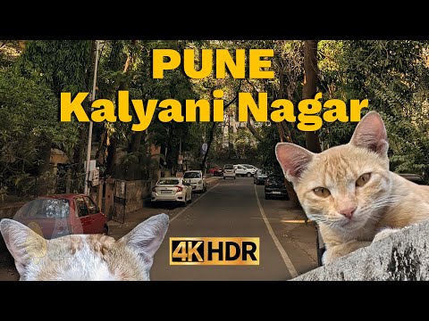 Видео: Индия Пуна 4K | Прогулка по Кальяни Нагар