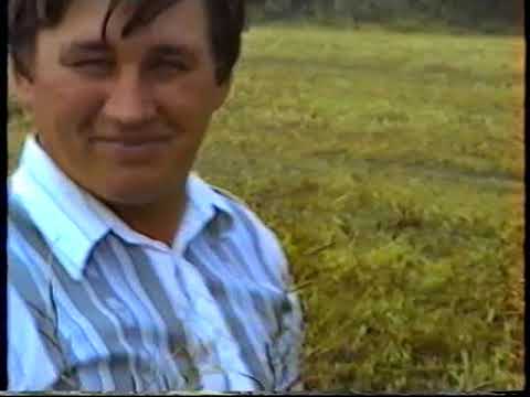 Видео: Колгосп ім. Димитрова, Білоусівка. Ч. 3