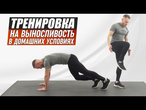 Видео: Тренировка на Выносливость в Домашних Условиях| Интенсивное кардио.