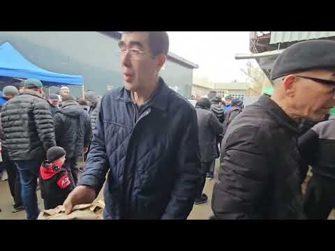 Видео: Тошкент қуш бозори: 8.03.2025