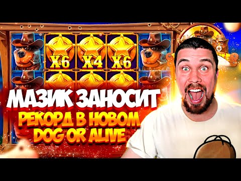 Видео: МАЗИК ЗАНОСИТ В DOG OR ALIVE! ПОСТАВИЛ ЛИЧНЫЙ РЕКОРД! #мазик #заносынедели