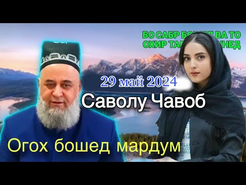 Видео: ХОЧИ МИРЗО САВОЛУ ЧАВОБ 29 Май 2024