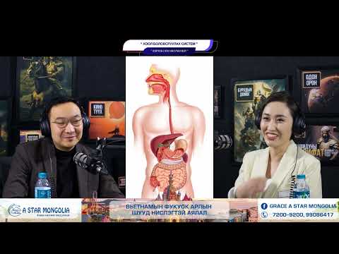 Видео: Хоол боловсруулах систем -ХЭРХЭН 100 НАСЛАХ ВЭ?