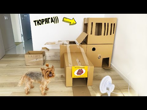 Видео: Я построил ГИГАНТСКИЙ дом для ЗЛОГО ПСА