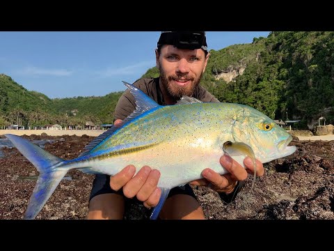 Видео: Не готовь и не ешь эту рыбу┃Самая красивая рыба, которую я ловил