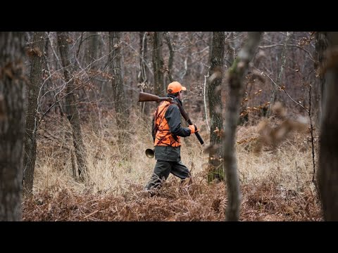 Видео: 🖥 Дмитрий Ильенко в эфире #7 | Правила проведения коллективной охоты
