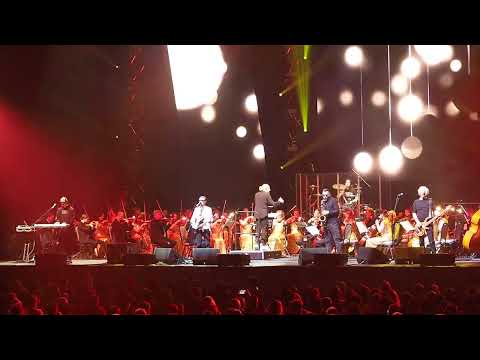 Видео: ПИКНИК. " Здесь под жёлтым солнцем ламп" Live arena. 01.06.24