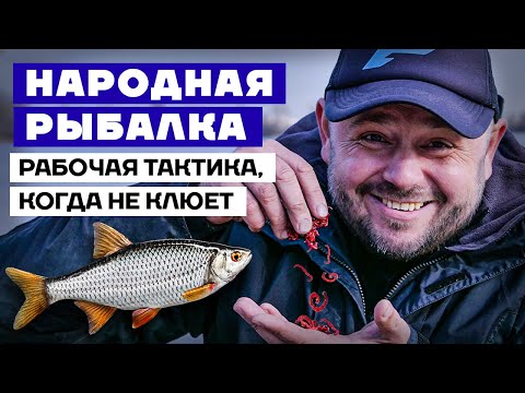 Видео: Никто НЕ ЛОВИТ, а Я ЛОВЛЮ... Рыбалка на фидер ОСЕНЬЮ или Как ловить на фидер? НАРОДНАЯ РЫБАЛКА 2021