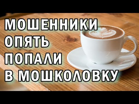 Видео: Коллекция страдающих мошенников АНТИМОШЕННИКИ фрод-рулетка