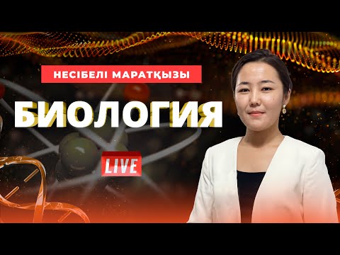 Видео: ҰБТ-ға дайындық. БИОЛОГИЯ. Ферменттер (Энзимология)