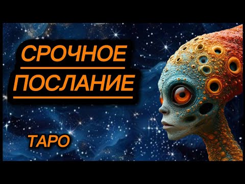 Видео: ‼️СКОРО ОНИ УЗНАЮТ КТО ТЫ НА САМОМ ДЕЛЕ‼️