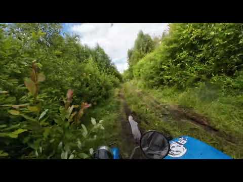 Видео: На Урале за грибами, грязная дорога