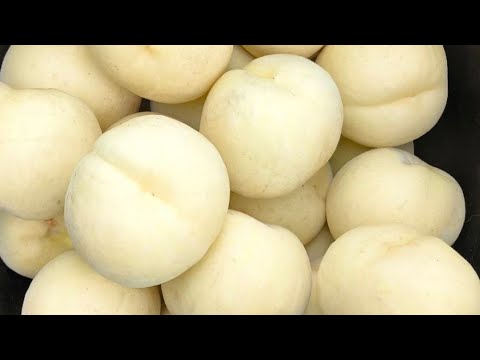 Видео: Персик Айс Піч. Peach Ice Peach. Оригінальний сорт альбінос. 
