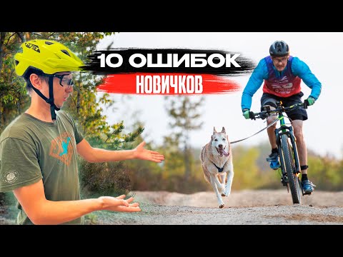 Видео: 10 ОШИБОК НОВИЧКА в ездовом спорте которые ты точно совершал