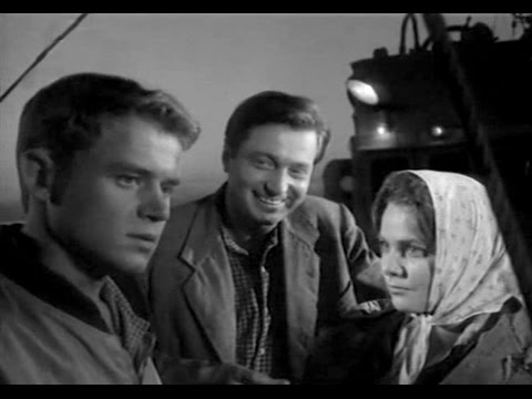Видео: Шурка выбирает море (1963)