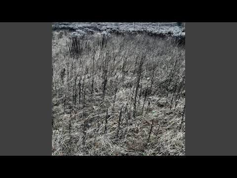 Видео: Нерухомы