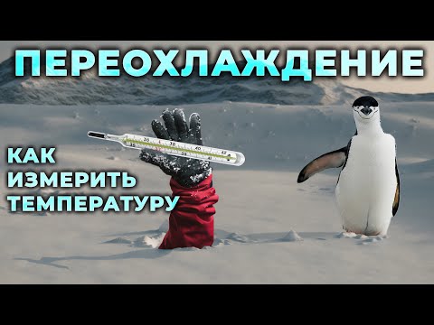 Видео: Гипотермия (переохлаждение). Как измерить температуру без градусника #ПроСМП