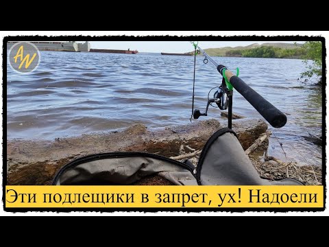 Видео: Рыбалка на Волге. Отпустил БОЛЬШЕ чем взял!