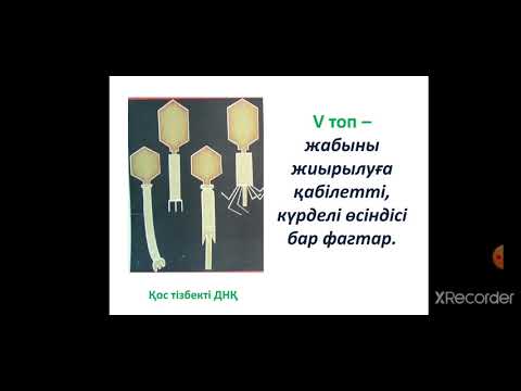 Видео: Жалпы вирусология. Вирустар жүйеленуінің негіздері. Антибиотиктер.
