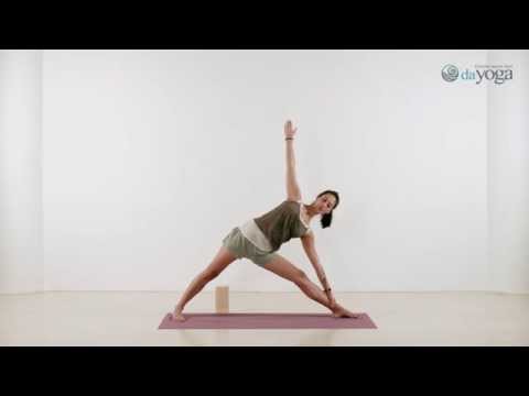 Видео: Айенгар-йога. Курс для начинающих. ​