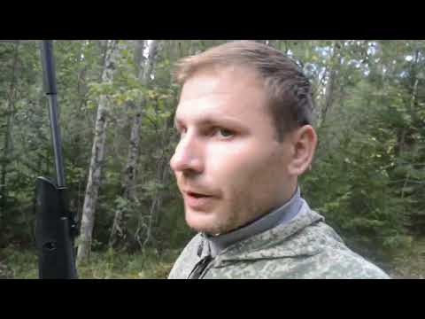 Видео: ОХОТА С ПНЕВМАТИКОЙ. Первая добыча