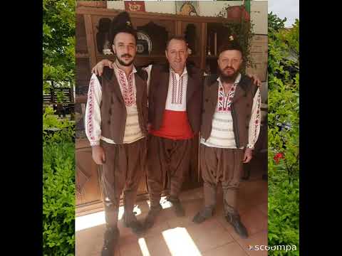 Видео: СТЕФАН ТЕРЗИЕВ ХОРОВОДНА КИТКА