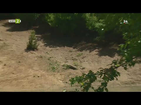 Видео: Дивият свят, хората и ловните пътеки на Батак - "Време за губене", 24.05.2025