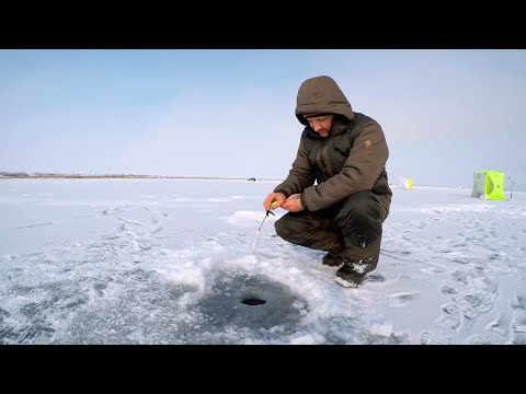 Видео: ВОТ ЭТО КЛЁВ!!! Рыбалка на Солнечном. ГРЭС-2.